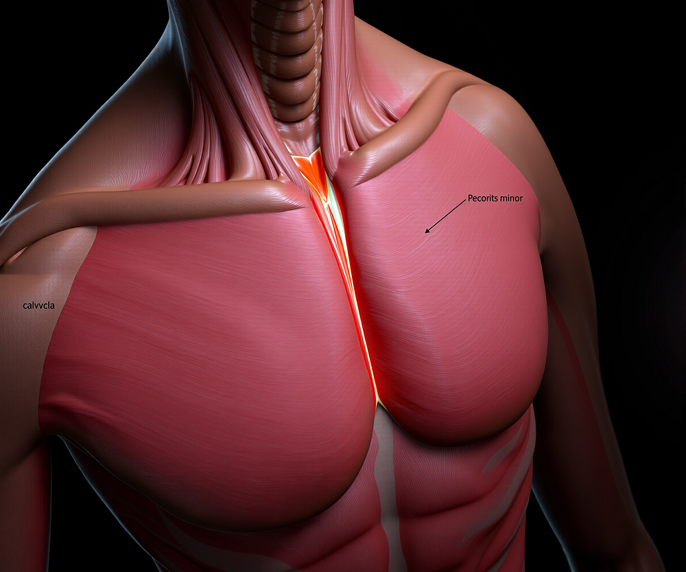 pectoralis minor stretching exercises